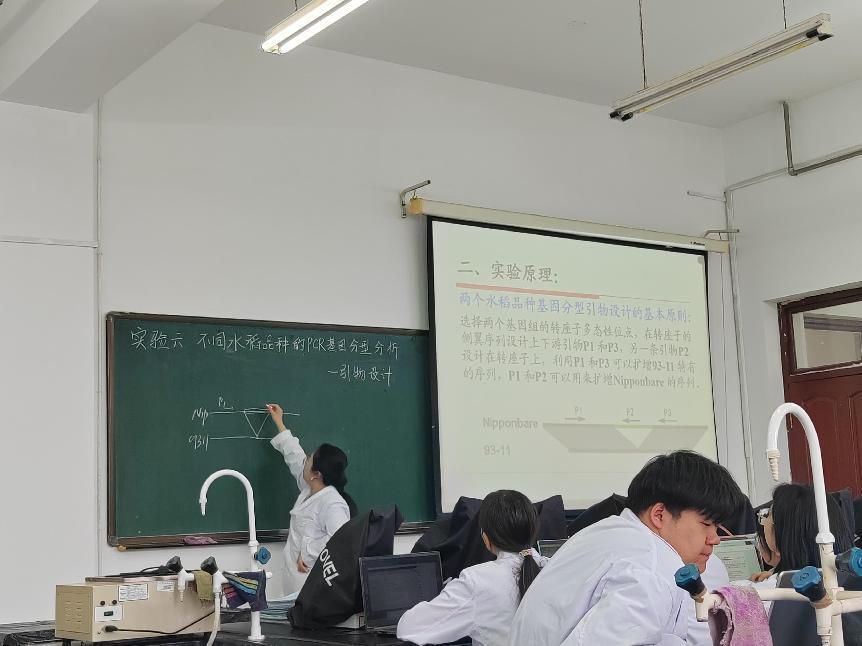 a41a36098a179d5d4a6aa30455aa8a1